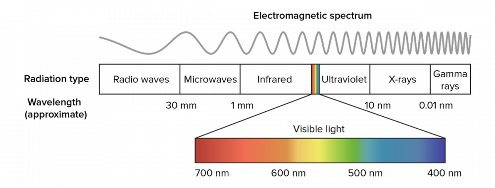 What are the types of light