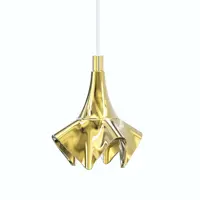 Design ceiling light LE-BLO-W09