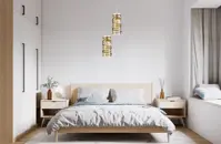 Modern pendant light ELC03