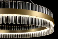Modern pendant light L-OE-CIR-02