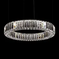 Modern pendant light L-OE-PRI-02