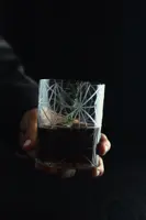 Whiskey glass set 2 pcs PAS45523014390G