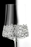 Wine glasses set 2 pcs PAS45940862360