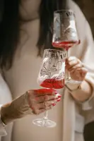 Wine glasses set 2 pcs PAS460240862360