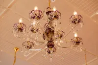 Crystal chandelier violet EL660614