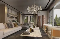 Crystal chandelier EL226804-1PB