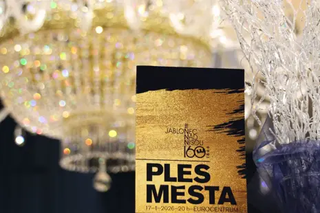 How an ArtCrystal Tomeš Chandelier Lit Up the City Ball